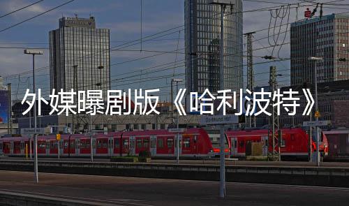 版波特幕曝剧外媒内普惊人内人斯了D选黑指标哈利是为